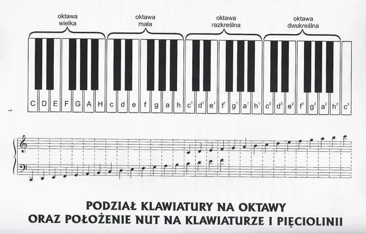 Tabela częstotliwości dźwięków: klucz do harmonii muzycznej