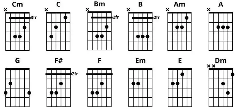 Zdjęcie Podstawy teorii muzyki dla gitarzystów - nauka nut i akordów